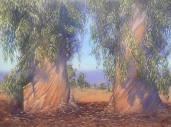 Eucalyptus Grove